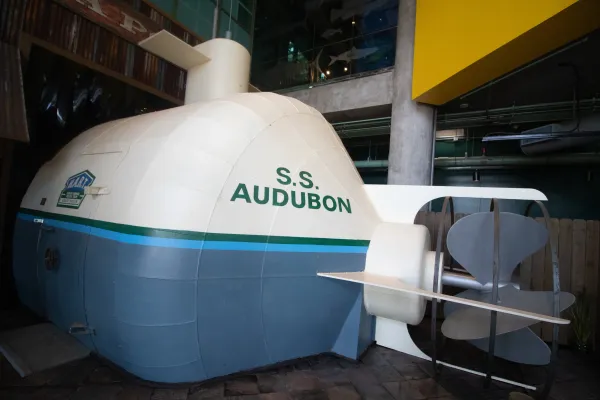 Escape Extinction: Sharks