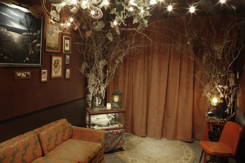 Atmospheric entrance